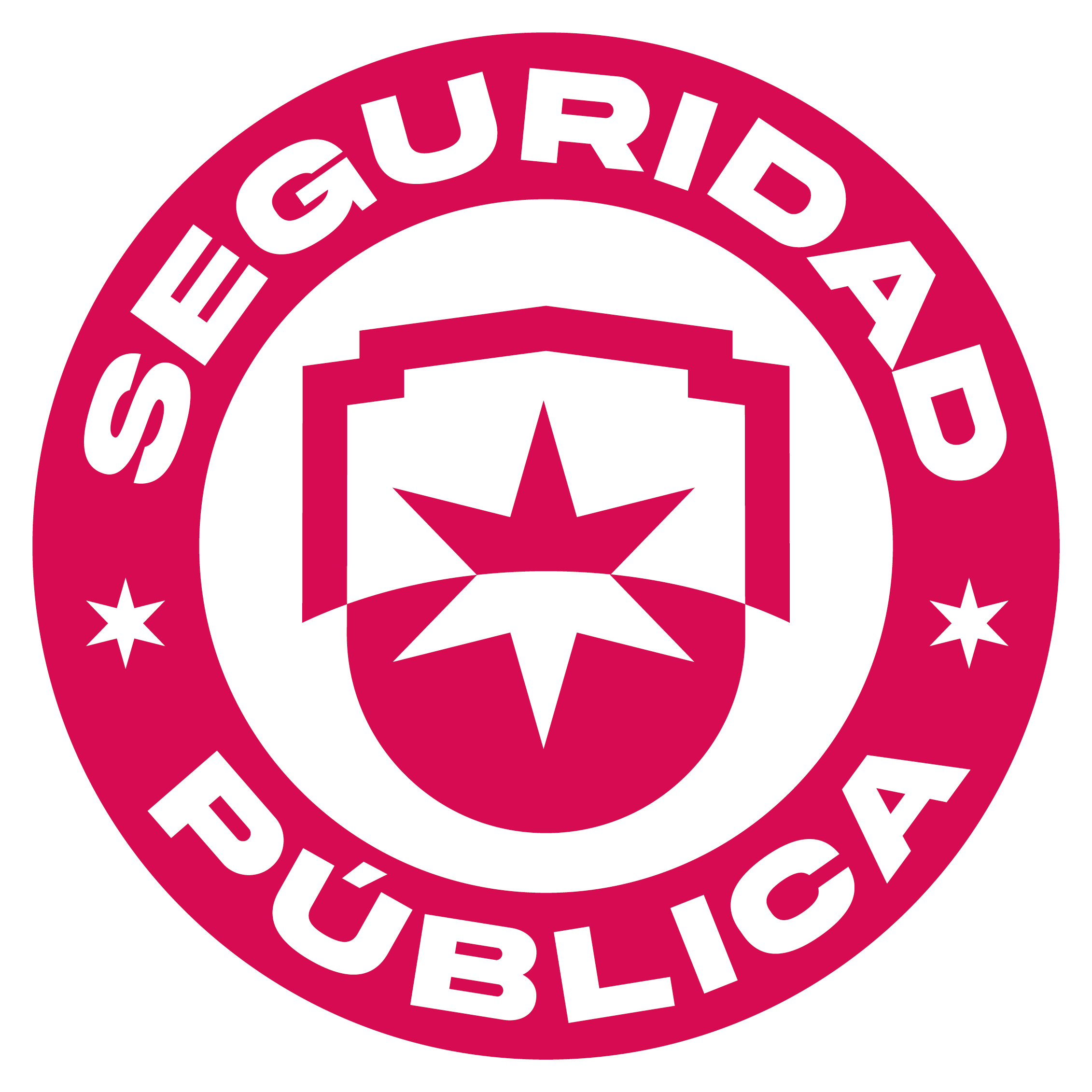 Seguridad Pública
